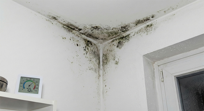 Ekonomický dopad: O kolik peněz reálně přicházíte?