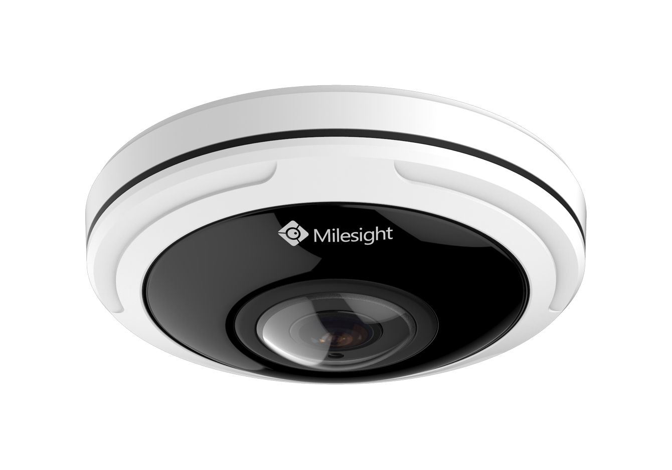 MS-C9674-PB/V 12MP Fisheye