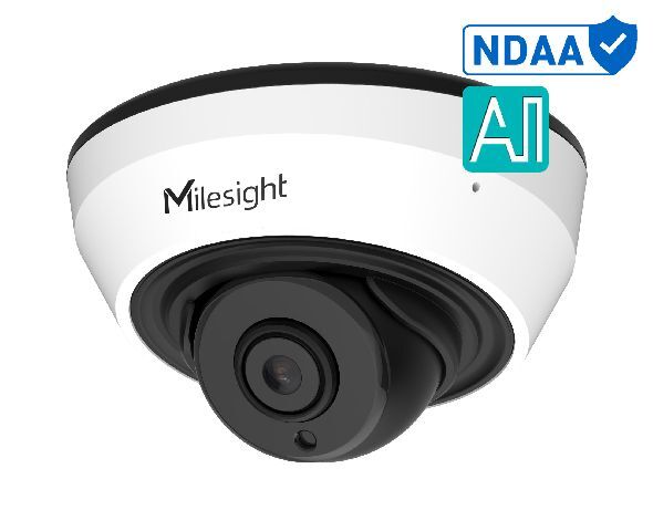 MS-C2983-PD NDAA AI 2.8mm 2MP/30fps